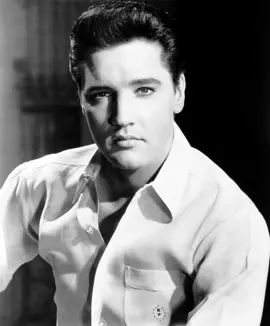 Elvis Presley - Memphis Tennessee  Album: Elvis for Everyone! Recorded: May 27, 1963 Released: July 19, 1965 #elvispresley  #theking  #memphistennessee  #tcb  All rights are reserved to respective owners. This channel owns no rights. Please visit: https://www.elvisthemusic.com/