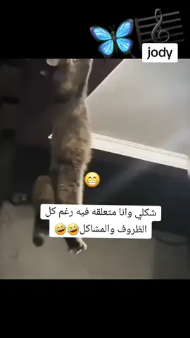 انا زعلت من جوزي وحبيت ادايقو واستفزو بالفيديوهات حسابو راح وأخير قدر يرجعو🤣🤣@💘♔ جـ,ـوُڊ𝐉𝓞Ỗ𝐝 🐼 #جودي__جود #تاغ_للحب❤️😍 #قصف_جبهات😂🔥 #قصف💥_جبهات🤦😅 #اكسبلووووررررررررررررررررررر #للفديووووو #محظوره_من_المشهدات_ولاكسبلور #شعب_الصيني_ماله_حل😂😂😂😂🤦🏽 #شعب_الصيني_ماله_حل😂😂😂😂🤦🏽 