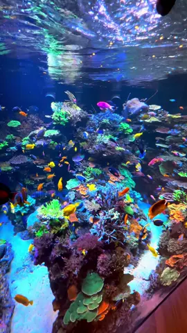 Happy New Year !! We Are Back !   