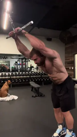 Cable Pullovers 🦍 #chest #pullovers #pecminor #chestday #pecs #pump 