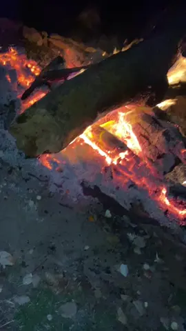 #الليل#قعدة_خلوية #تاشودة_العلمة❤ 