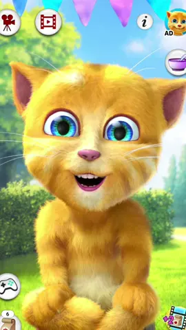 Ginger Atirei o Pal no Gato  #gingercat #ginger2 #myginger #mytalkingtom #talkingtom #talkingtom2 