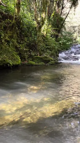 Una aventura mas… contáctanos para vivir aventuras y conectar con la naturaleza #aventuraysenderismojv #viviendolasierra #aventura #naturaleza #conectacontigo #rio #agua #senderismo #conanp #paisajes 