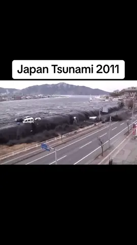 On March 11th 2011 in Japan an undersea megathrust earthquake occurred in the Pacific Ocean, 72 km east of the Oshika Peninsula of the Tōhoku region. It lasted approximately six minutes, causing a tsunami. It is sometimes known in Japan as the 