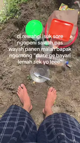 ninja ss pak ninja kae loo #fyp #petanimuda 