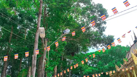 1 Đoạn Vd Ngắn Về Khung Cảnh Chùa Mahatup(Chùa Dơi) Toạ Lạc Tại Văn Ngọc Chính Phường 3 Tp Sóc Trăng #chuadoi #chuadoisoctrang #ffws2023 #Xmas2023 #khmervinhchau83🇰🇭🇻🇳✌️ #soctrang 