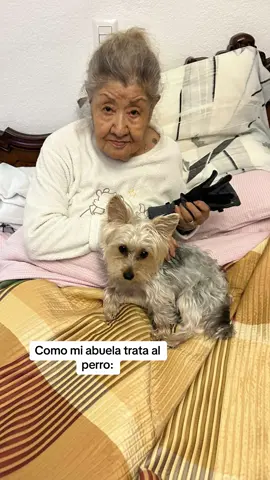 Creo que me quiere más a mi #comedia 