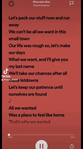 Miserable man- david kishner #fyp #foryoupage #davidkushner #miserableman #fullsong