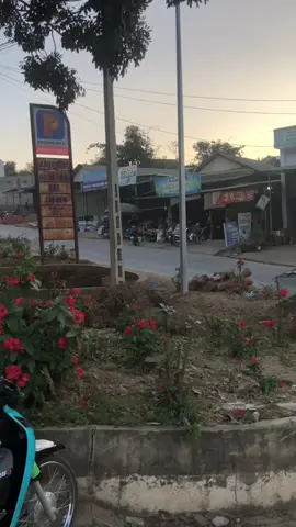 Tự tin cả trường khong ai xe giống mình 😂#wave26❤️ #echxanh🐸 #tiktok #waves 