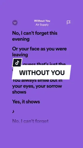 Without You🎶by:Air Supply #songlyrics #spotify #fypviral 