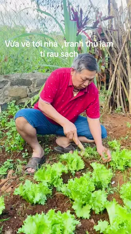 Làm chút rau xanh !