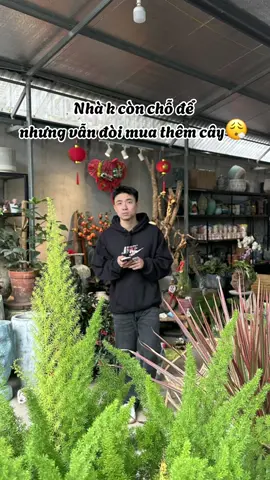 Thoát làm sao đc khỏi sự u mê của Ninh Anh Bùi 🤣🤣🤣