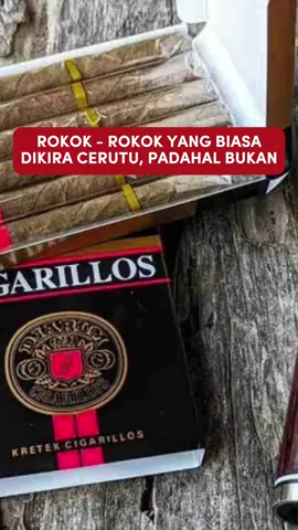 Dikira cerutu, padahal rokok biasa!!! Siapa yg baru tahu? #perokoksantun #komunitaskretek #kretek #savekretekindonesia #fyp #fypシ゚viral #sigaret🚬 #cigarilos 