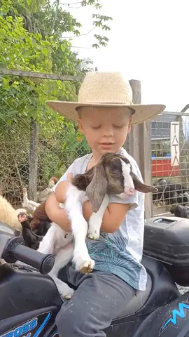 Como diz o campeiro, que linda essa Bebê Cabra 😍🥰❤️🙏🏻🙏🏻🙏🏻