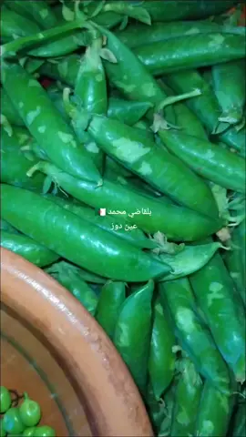 طاجين الجلبان شكون يبغيه؟ #fypシ #fyp #foryoupage #حركة_الاكسبلور #cejour-là #fypシ #fyp #foryoupage #حركة_الاكسبلور 