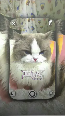 desember udah berlalu 😌#preset5mb #5mbpreset #presetxml #alightmotion_fyp #jjtouka #fyp 