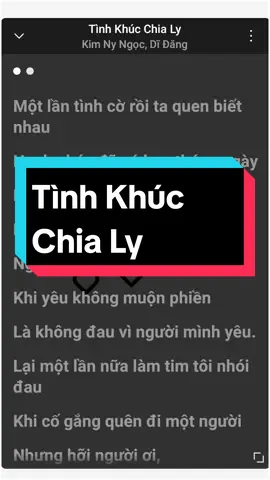 Tình Khúc Chia Ly #tinhkhucchialy #kimnyngoc #didang #nhachay #music #lyrics #tamtrang #thumaik02 