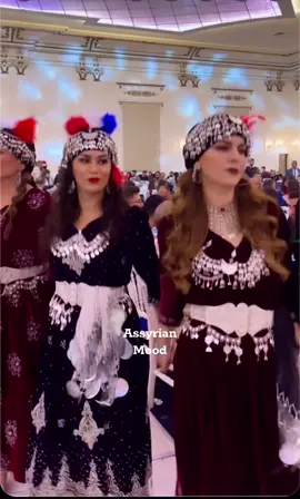 Assyrian dance bablaka 💃🏻🕺🏻#ogeradwar #chaldean #suryoya #assyrianpeople #assyriantiktok #assyrianmood #dohok #dance 
