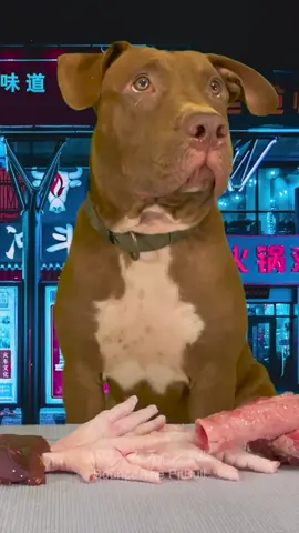 Adorable dog eats meat#dog #eat #eating #mukbang #foryou #tiktok #fyp