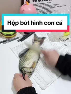 Hộp đựng bút hình con cá vô tri #hopdungbuthingconca #hopbuthinhconca #hopbuthinhcachep #hopbutcachepvotri #hopbuthinhconca #hinhconca #viral #xuhuong 