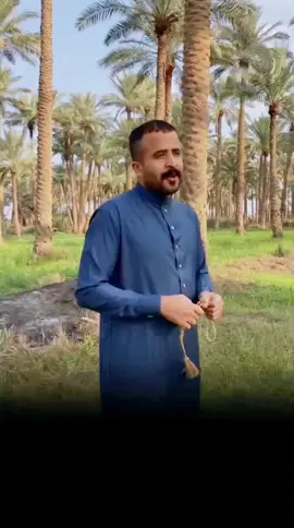 #زماط_زلم #ضيفونيييييييي🙂❤️ #شعراء_وذواقين_الشعر_الشعبي #مشاهير_تيك_توك_مشاهير_العرب #انسخو_رابط #دارميات_الديوانيه #سمير_صبيح 
