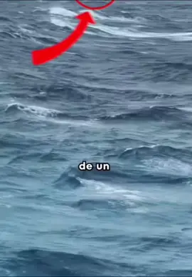 #parte2#paratiiiiiiiiiiiiiiiiiiiiiiiiiiiiiii #fypシ゚viral #fypシ゚viral 