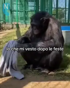 È sempre un trauma #napoli #mangiare 