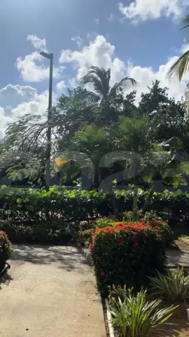 A bitter sweet year to say the least 🫶🏽. So excited to take everything I learned into 2024🤍.  #capcut #contentcreator #2024 