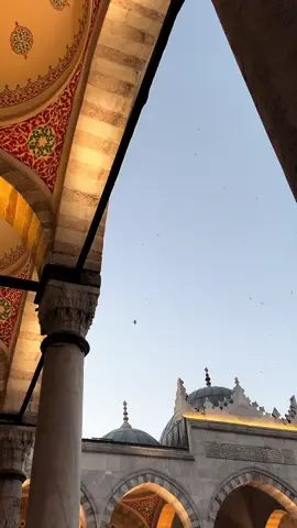 #subhanallah #birds #mosque #nasheed #muslim #istanbul #keşfet #viral #foryou 