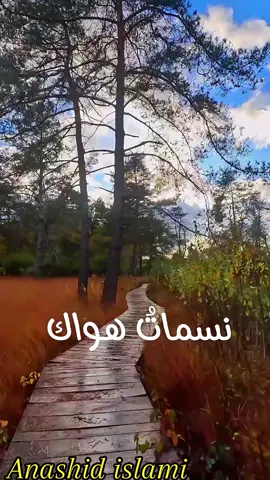 مسمات هواك لها أرج _معتصم بالله العسلي / أناشيد إسلامية #anashid_islami #Anashid_islami #fypシ #viralvideo #الامارات_العربية_المتحده🇦🇪 #اكسبلورexplore #أناشيد_أسلامية #viralditiktok2022 #anashid_islamiya #فلسطين #مصر #مقاطع #عماد_رامي #اكسبلور #سوريا #ترند_تيك_توك #سوري #سوريا #عراق #خواطر 