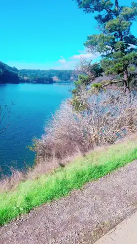 A soft and calm life is where i wanna stay🤍