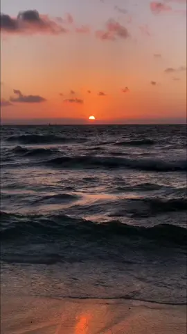 Bagian 305 | #fyp #ranahfakta #viral #trending #xyzbca #foryoupage #explore #History 