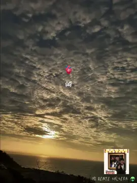 🎶🔥 Hazme olvidarla | Willie González ❤🎶🔥 #salsa #salsaromantica #salsabaul #salsaparadedicar #salsaparaestados #salsaparaelalma #hazmeolvidarla #williegonzalez 