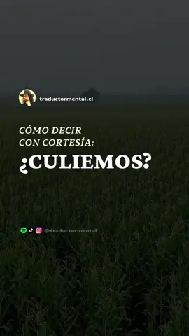 mi frase seria ...si nos queremos y nos amamos ¿por que no nos juntamos por donde meamos?#quebelloeselamor❣️😍 #muchapasion💝💝❤ # otra frase sería hacemos pelear alos peludos