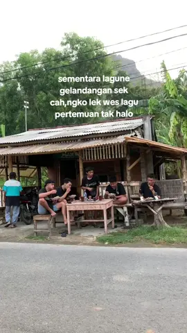 oke cah🤣  #teamslongopofficial😎 #brownaudiotulungagung #fyp #pertemuan #hh 