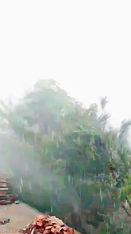 Mưa to gió lớn#Sấm sét.#TThời tiết trở lạnh chú ý giữ ấm.