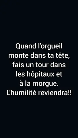 Si tu te crois être au-dessus des autres, regarde cette vidéo ! #conseil #citation #motivation #penseesintelligentes #orgueil 