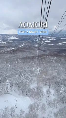 7 AOMORI Must Visit Spot❄️ 青森のおすすめスポット7選！ 📍Mt. Hakkoda #八甲田山 📍Oirase Keiryu #奥入瀬渓流 📍Oirase Keiryu Hotel #奥入瀬渓流ホテル  📍Stove Train #ストーブ列車 📍Takayama Inari Shrine #高山稲荷神社 📍Tsuru no Mai Bridge #鶴の舞橋 📍Hirosaki Castle #弘前城  📷2023.2.23-26 高山稲荷神社、鶴の舞橋、ストーブ列車は観光タクシーに乗って巡りました！ 雪道の運転は怖いし、個人的にはおすすめです✨ #aomori #aomoriprefecture #aomoritrip #oirase #japanwinter #tohoku #japantravel #japantrip #stovetrain #hakkoda #japansnow  #奥入瀬渓流ホテル #青森観光 #青森 #のれそれ青森旅キャンペーン #青森旅行 #아오모리　