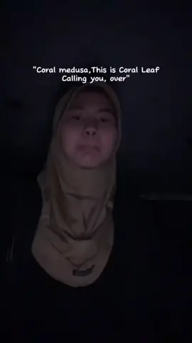 siapa yang ketemu temen di beda kapal langsung call vhf cungg?  #kementerianperhubunganlaut #seawoman #kemenhub #pelautindonesia #kemenhub151 #tarunapelayaran #yxzcba #fyp 