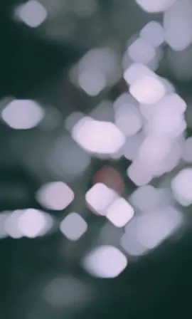 صبايا منشنو اغلا حدا عندكم بس انا بعمري ما كانت شخص ما كانت شخص مفضل عند الاصدقاء  🫶🏻😔🖤 #pugbmobile #اكسبلوررررر 