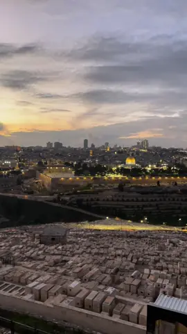 والله لا أدري إن كانَت القُدسُ في القلبِ أم القلب في القُدسِ، ردُّوا عليَّ قُدسي وقلبي🕊️🖤 #القدس #البلدة_القديمة 