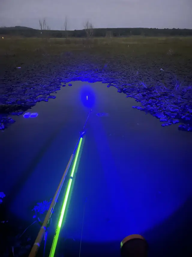 Câu đêm tự nhiên luôn nhìu bí ẩn 🐠🐠#xuhuongtiktok #CapCut #câucá #caudai #câucagiaitri #fishing 