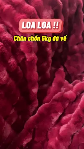 Bắt chấp giá lạnh với bản chăn chồn 6kg#xuongchangacobong #bongdecor2mevabe #chanlongchon #chanlongchoncaocap #changanhapkhau #viral #xuhuong 