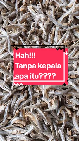 Teri rebus kering tanpa kepala... #ikanasin #ikanasinmurah #ikanasinviral #terirebus #terijengki #terijengkitanpakepala 