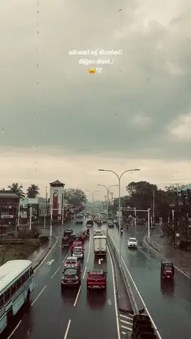 🤍 #foryoupage #fyp #foryou #viralti #srilanka #stopmotiontrend #