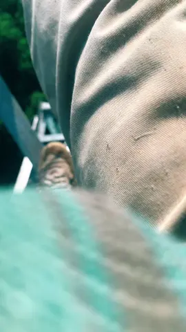 #dienlucvietnam ae chuẩn bị đón sương mù