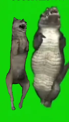 Let’s be friends✨✨✨✨✨#memecut #russian #dancingwolf #wolf #crocodile #russianwolf #dance #dancing #fyp #fypシ #fypシ゚viral #viral 