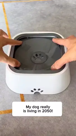 Smart dog 😉 #dogs #dogbowl #funnydog #pets #tiktokmademebuyit #fyp 