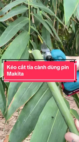Máy cắt tỉa cành dùng pin Makita #keocatcanh #keocatcanhcay #keocatcanhchaypin #keocatcanhpin #keotiacanh #keotiacaycanh #keotiacanhcaypin #keotiacanhpin #keotiacanhdanang #keotiacanhbonsai #keotiacanhbangpin #maycatcanh #maycatcanhpin #maycatcanhcay #maycatcanhdungpin #maytiacanh #maytiacanhcay #maycattiacanhcay 