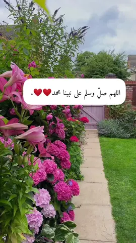 #صلو_على_رسول_الله_صل_الله_عليه_وسلم #صلوا_عليه_وسلموا_تسليما💚❤ #الكهف_جمعتكم_طيبة #foryoupage_tik_tok 